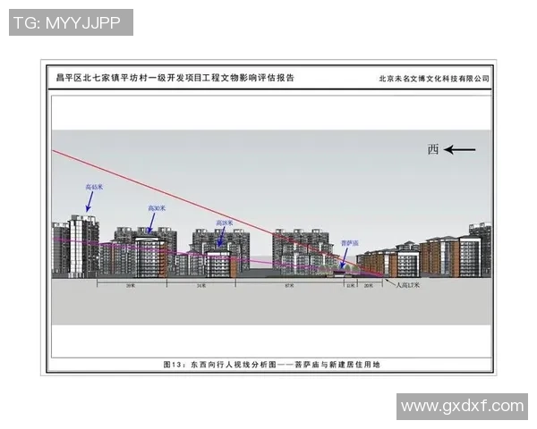 杭州篮球队在联合会杯中的状态分析与表现评估